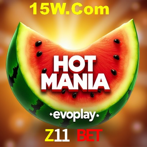 Programa VIP Z11 Bet